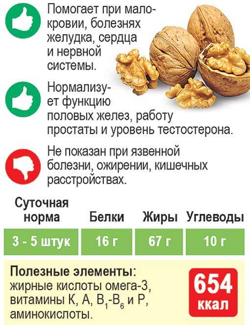 Кедровый орех: польза и вред для организма