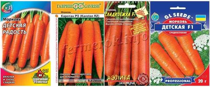 Морковь детская сладкая: отзывы об урожайности сладости, описание сорта лакомства, кто сажал и как