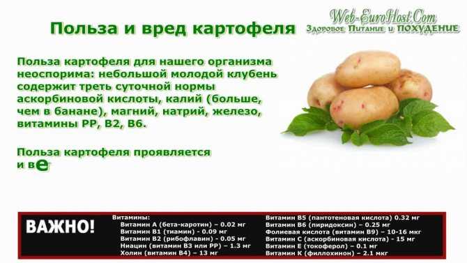 Сырой картофель: можно ли есть, польза и вред для организма человека, калорийность, особенности применения