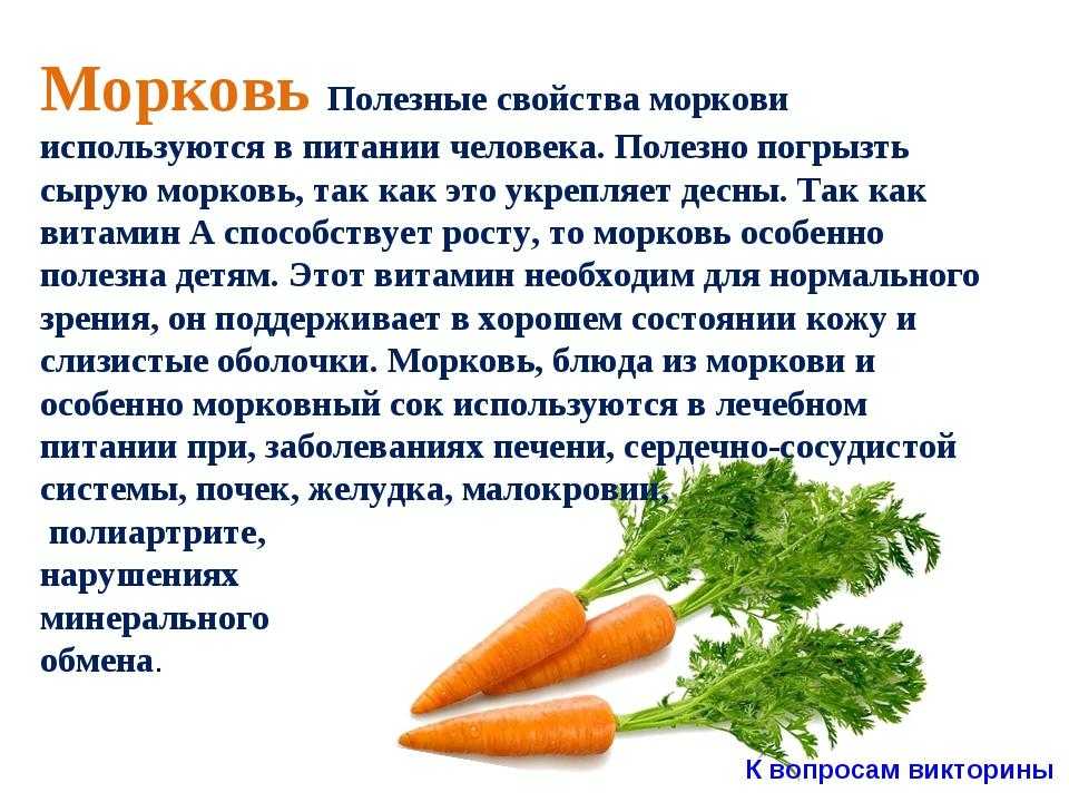 Почему морковь горчит и что делать - ogorod.guru