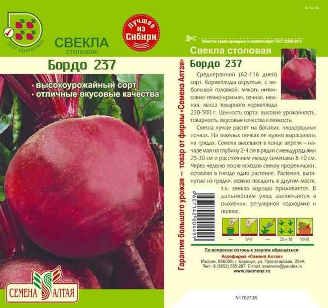 Свекла бордо: описание сорта, фото, выращивание, отзывы