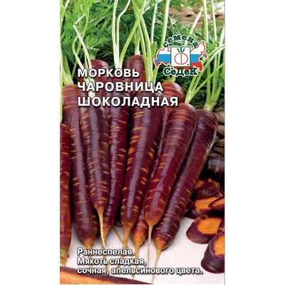 Сорта фиолетовой моркови и технология их выращивания