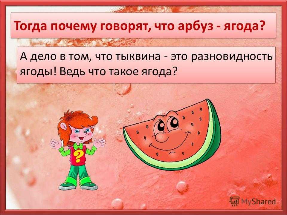 Арбуз – это ягода или фрукт или овощ, кто прав и чему верить?