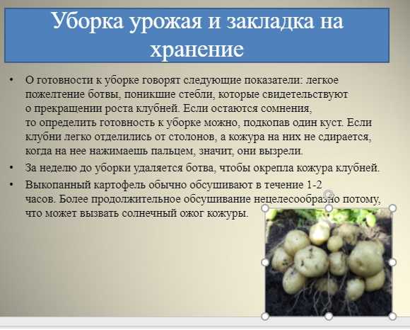 Агротехника культур понятие о сорте сроках уборки и посадки 7 класс презентация