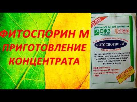 Фитоспорин – как не допустить ошибок при применении