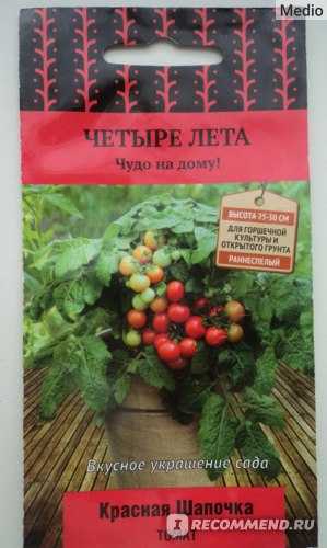 Томат красная шапочка
