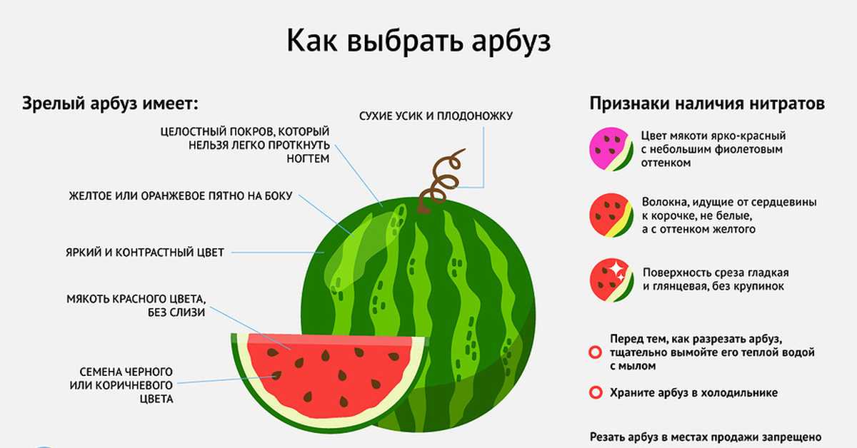 Почему арбуз ягода, а дыня нет: с точки зрения ботаники считается фруктом или овощем, к чему относится и почему, что это такое