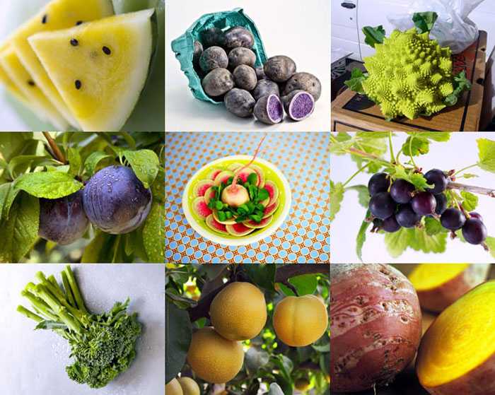 Цитрусовые фрукты: 34 распространенных вида с описаниями и фото + общая характеристика, полезные свойства и вред