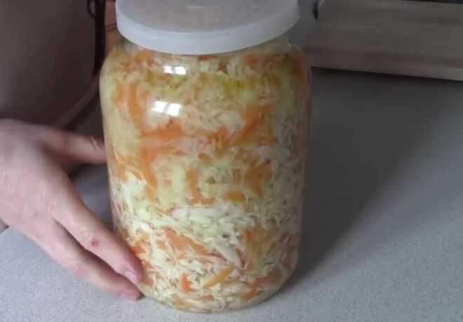 Маринованная капуста на зиму в банках: 10 лучших рецептов очень вкусной капусты