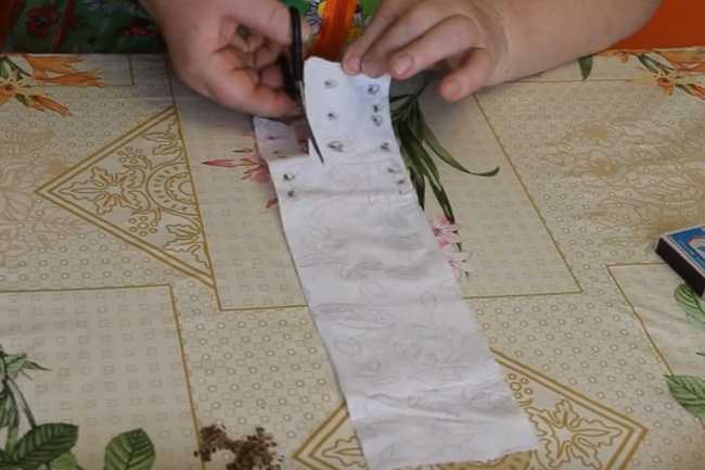 Как клеить семена. Семена на туалетной бумаге. Наклеивали семена на туалетную бумагу. Семена моркови на туалетной бумаге. Посев семян на бумагу.