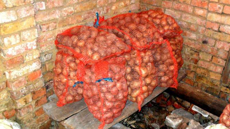 Как правильно хранить картошку в погребе зимой » подробная инструкция сколько можно + видео + фото