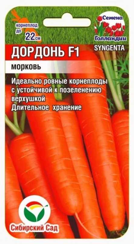 Морковь дордонь f1: описание, фото, отзывы