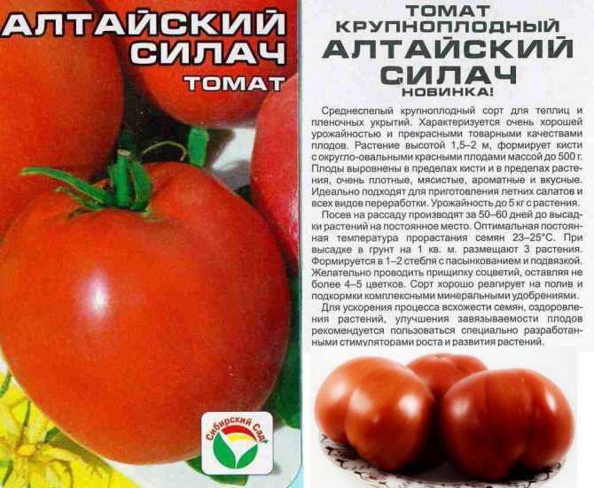 Томат юсуповские (узбекские): отзывы тех кто выращивал помидоры об их урожайности, фото семян, характеристика и описание розового сорта