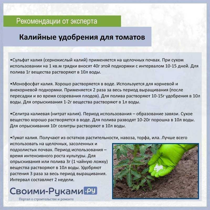 Первая подкормка в июне: сульфат калия (калий сернокислый) и как его применять на supersadovnik.ru
