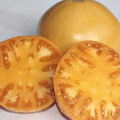 Описание сорта томата гавайский ананас, особенности выращивание и уход