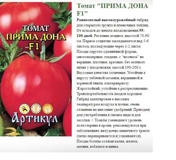 Любимый огородниками во всех регионах страны томат «афродита f1»: отзывы, преимущества и недостатки сорта