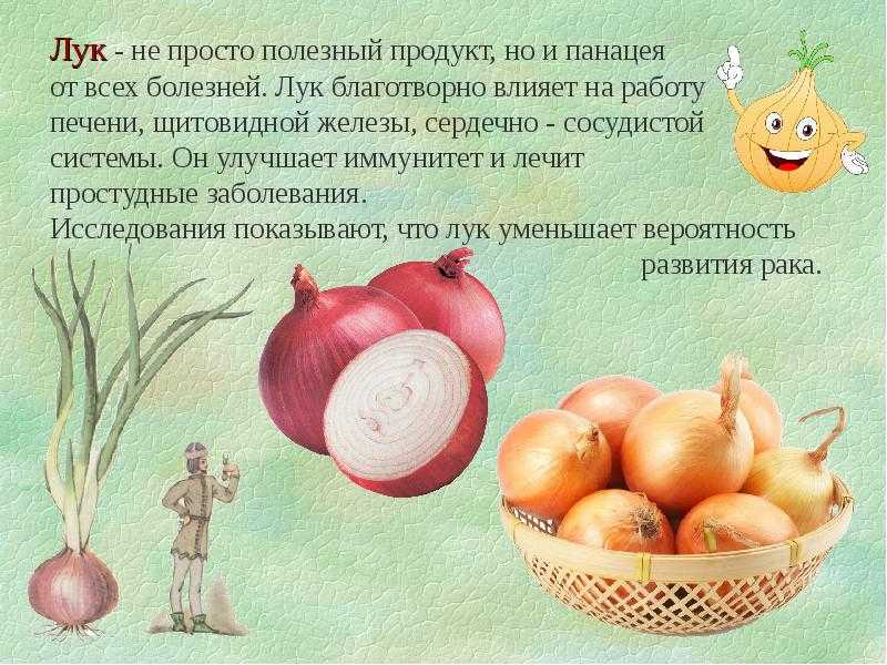 Здоровое питание