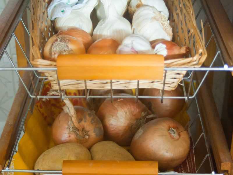 Как правильно хранить картошку зимой: в погребе, подвале, подполе