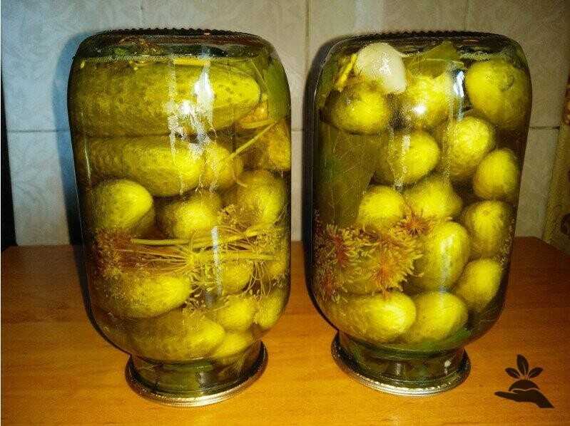 Маринованные огурцы на зиму с лимонной кислотой