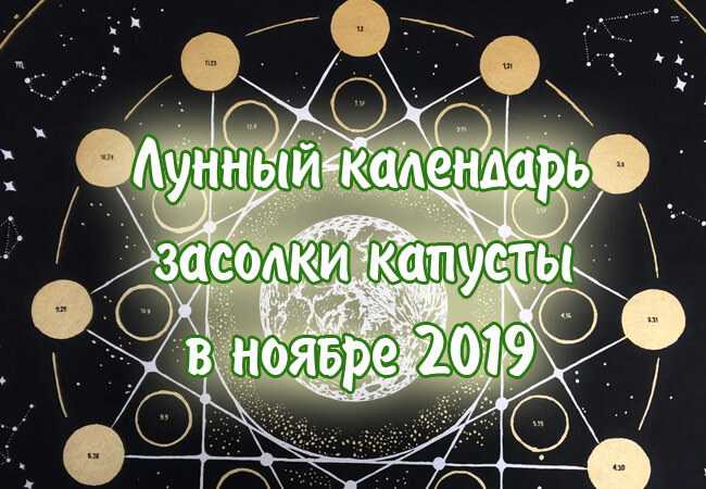 На какую луну квасить. Благоприятные дни для засолки капусты в ноябре. День засолки капусты в ноябре. Удачные дни для засолки капусты в ноябре. Благоприятные дни для соления капусты.