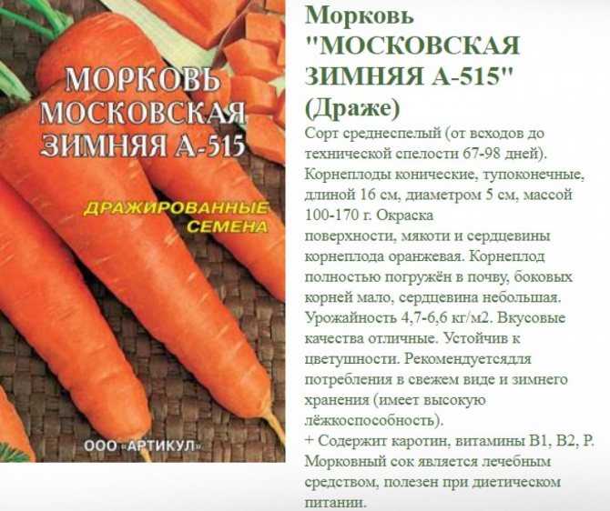 Характеристика и описание сорта моркови нантская 4, выращивание и уход