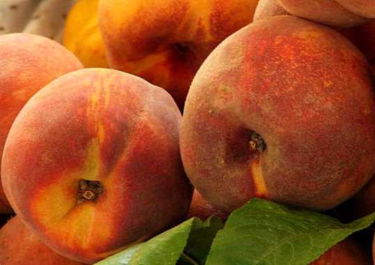 Персик: польза и вред для организма, витамины и полезные свойства - телеканал доктор