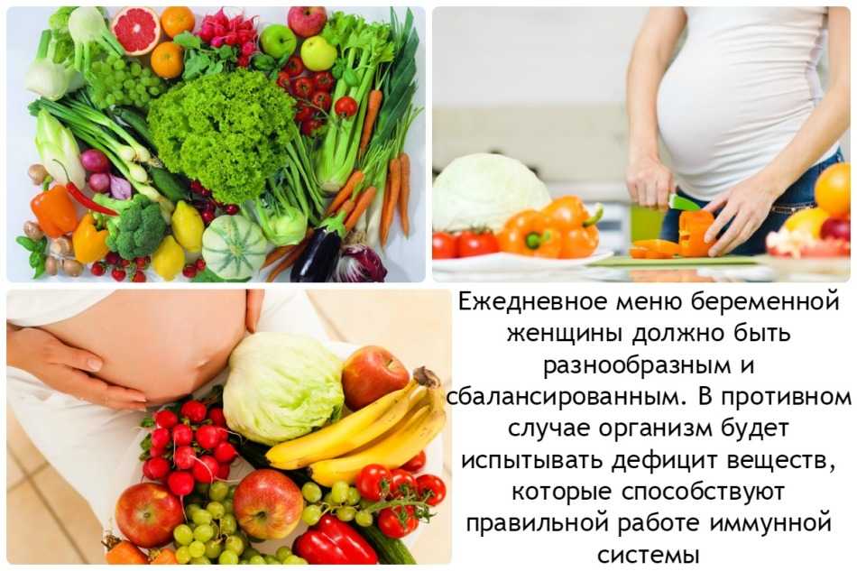 Польза брокколи для человеческого организма :: syl.ru