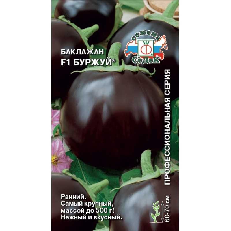 Баклажан черный красавец: описание сорта, фото, характеристика плодов, отзывы, урожайность