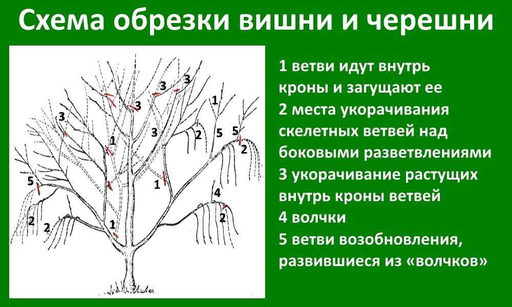 Какое действие можно совершать с рисунком отметка обрезка отладка