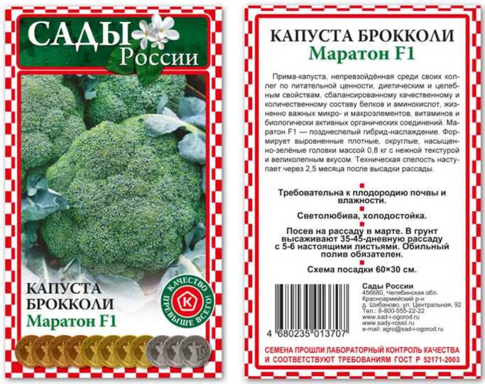 Лучшие ранние сорта брокколи для россии и ее регионов