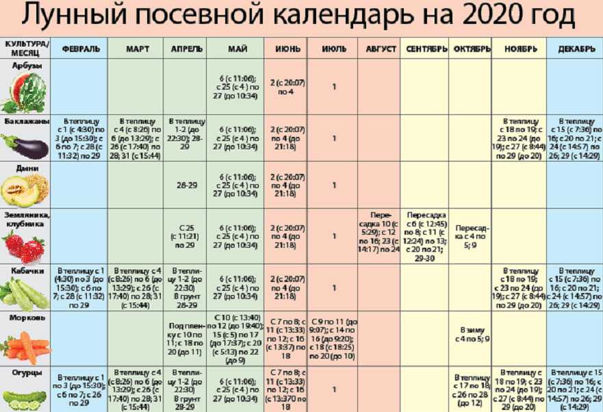Посадочные дни в марте 2020 года по лунному календарю и по регионам: таблица благоприятных периодов