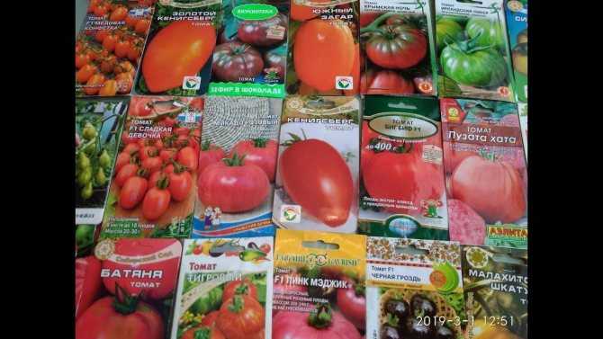 Раннеспелый томат «алсу»:полная характеристика сорта. как правильно выращивать сорт «алсу»: посадка, уход, борьба с вредителями и болезнями