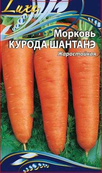 Морковь курода: шантане, саката, отзывы об урожайности и описание сорта, фото