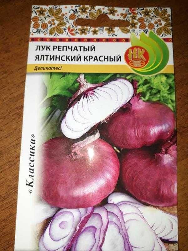 Ялтинский лук: как отличить от подделки, как правильно выбрать крымский лук, особенности его выращивания