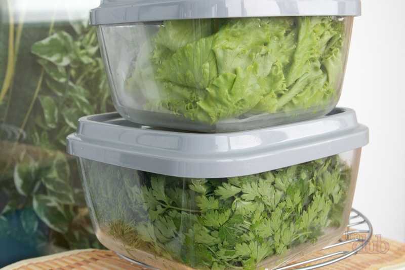 Как хранить зелень в холодильнике, чтобы она оставалась надолго свежей?