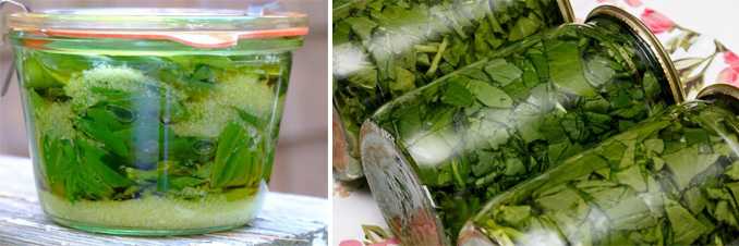 Можно ли замораживать базилик на зиму в морозилке, как хранить в холодильнике