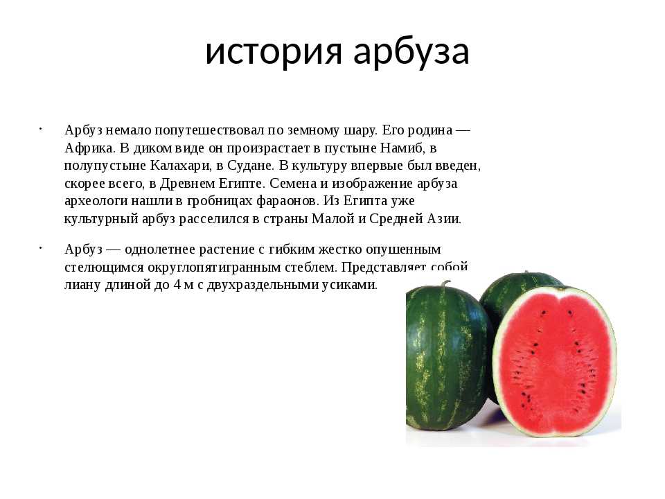 ✅ как называется плод дыни: ягодой, овощем или фруктом - сад62.рф