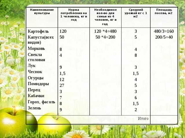 Сколько на 1 гектар нужно чеснока. как определить один из важных показателей для вычисления рентабельности — урожайность чеснока с 1 сотки или 1 га?