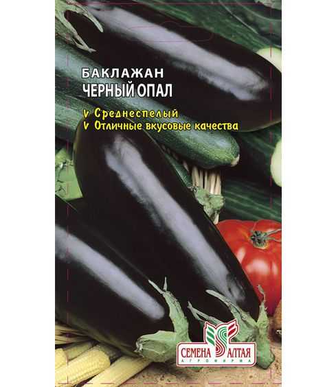 Сорт баклажан черный опал, описание, характеристика и отзывы, а также особенности выращивания