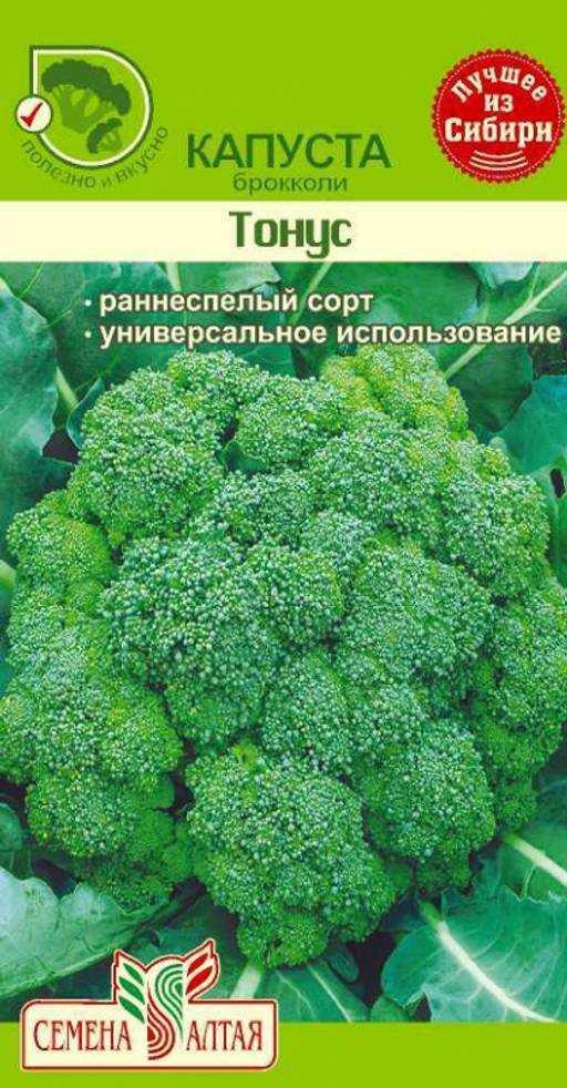 Особенности выращивания и описание сорта капусты брокколи «тонус»