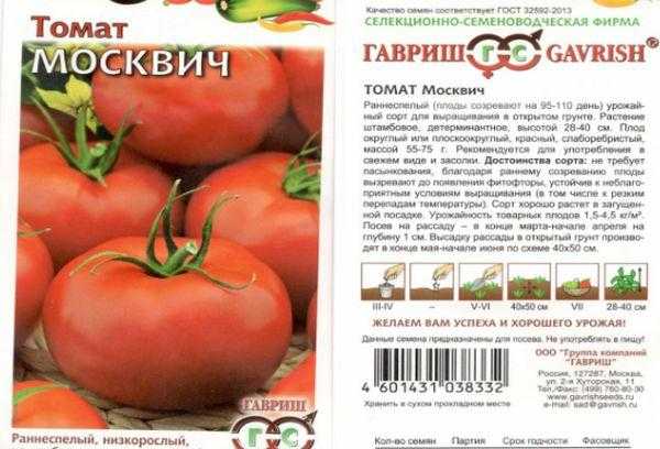 Томат москвич отзывы урожайность