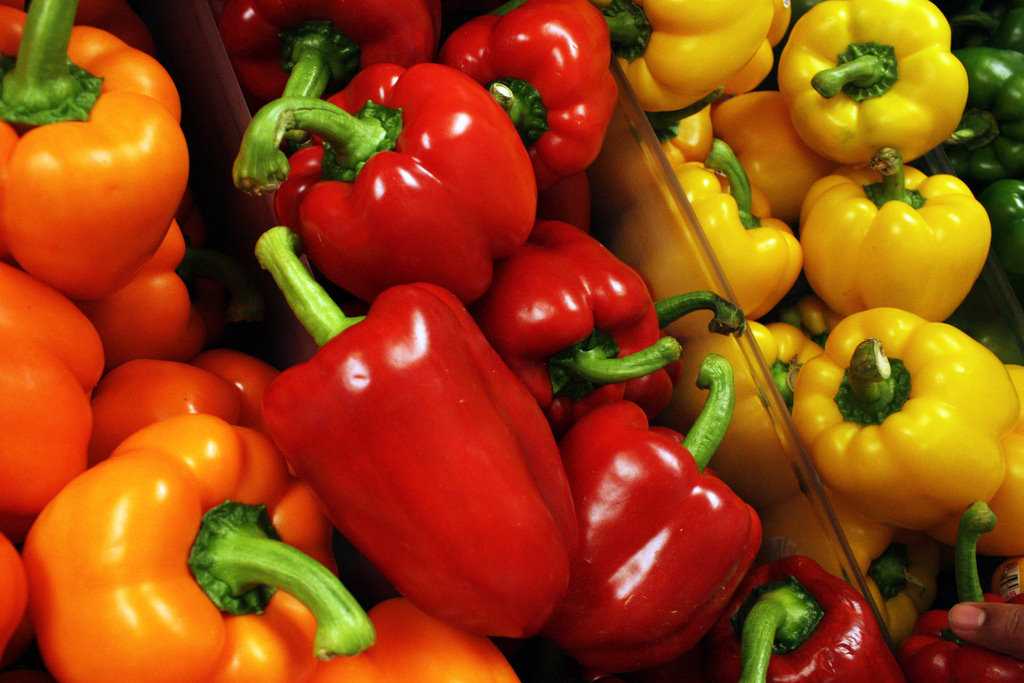 Зеленый болгарский перец: калорийность, польза, фото