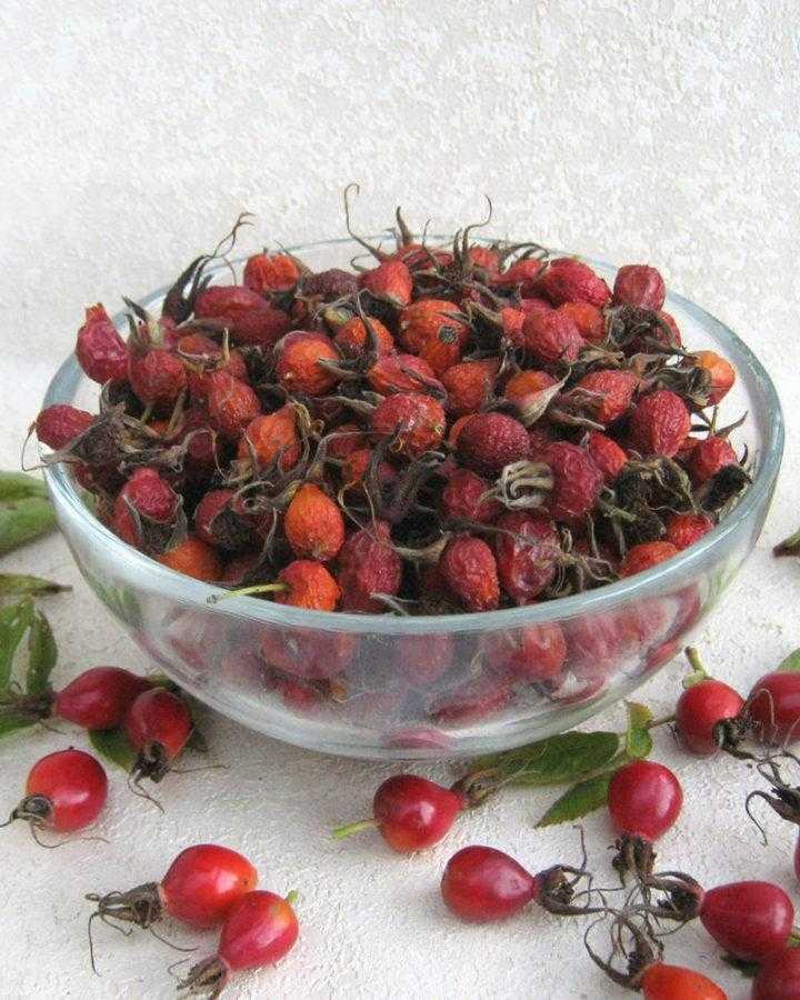 Сушка ягод черной смородины. как сушить смородину в домашних условиях