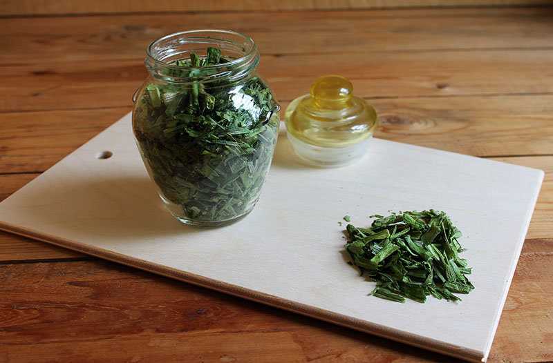 Как заготовить зеленый лук на зиму: 13 рецептов консервации в домашних условиях