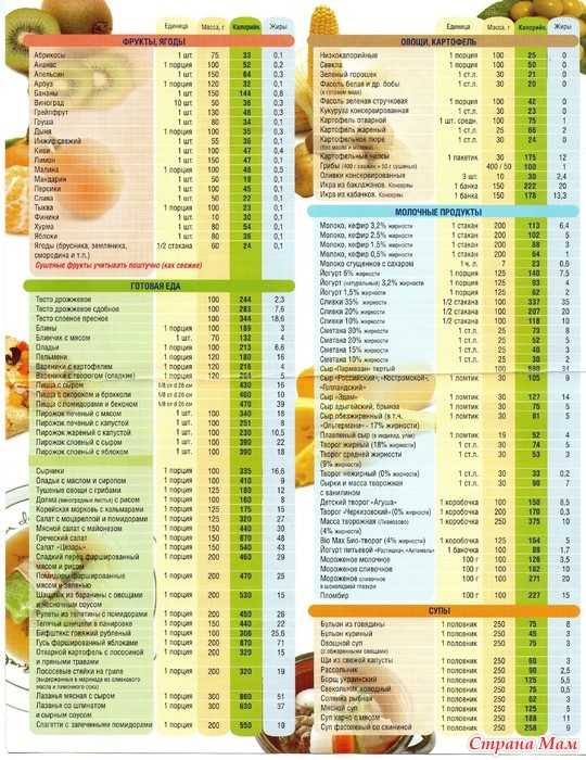 Лук репчатый: калорийность на 100 г, белки, жиры, углеводы