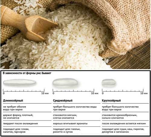 15 лучших производителей риса