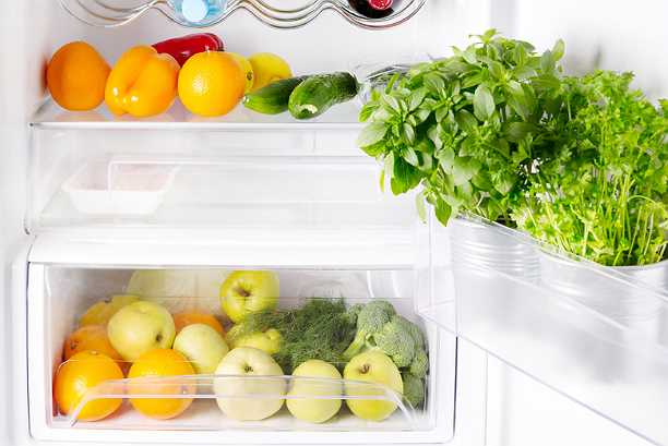 Как хранить зелень в холодильнике долго свежей, как хранить петрушку, укроп, щавель и листья салата