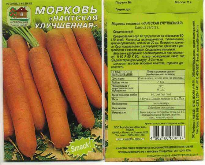 Морковь нантская – высокое содержание каротина и сахара