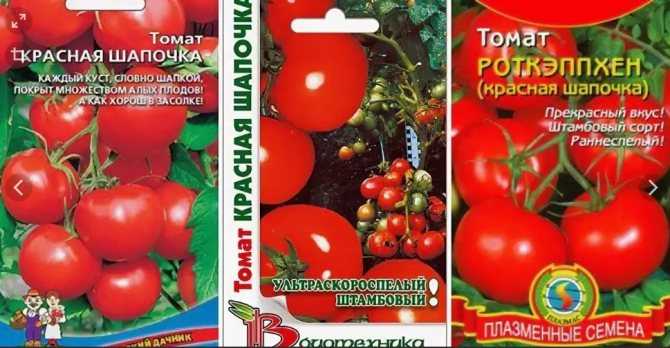 Томат красная стрела: характеристика и описание сорта, урожайность фото