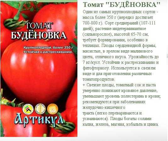 Оригинальный и высокоурожайный томат «царь колокол» — описание сорта, фото